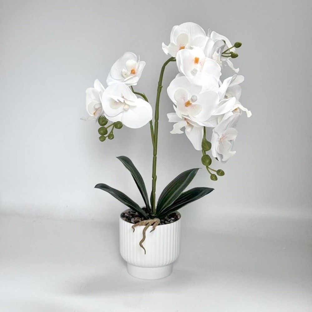 Multi-Bloom Künstliche Schmett – Orchid Phalaenopsis Bewertung und Preis