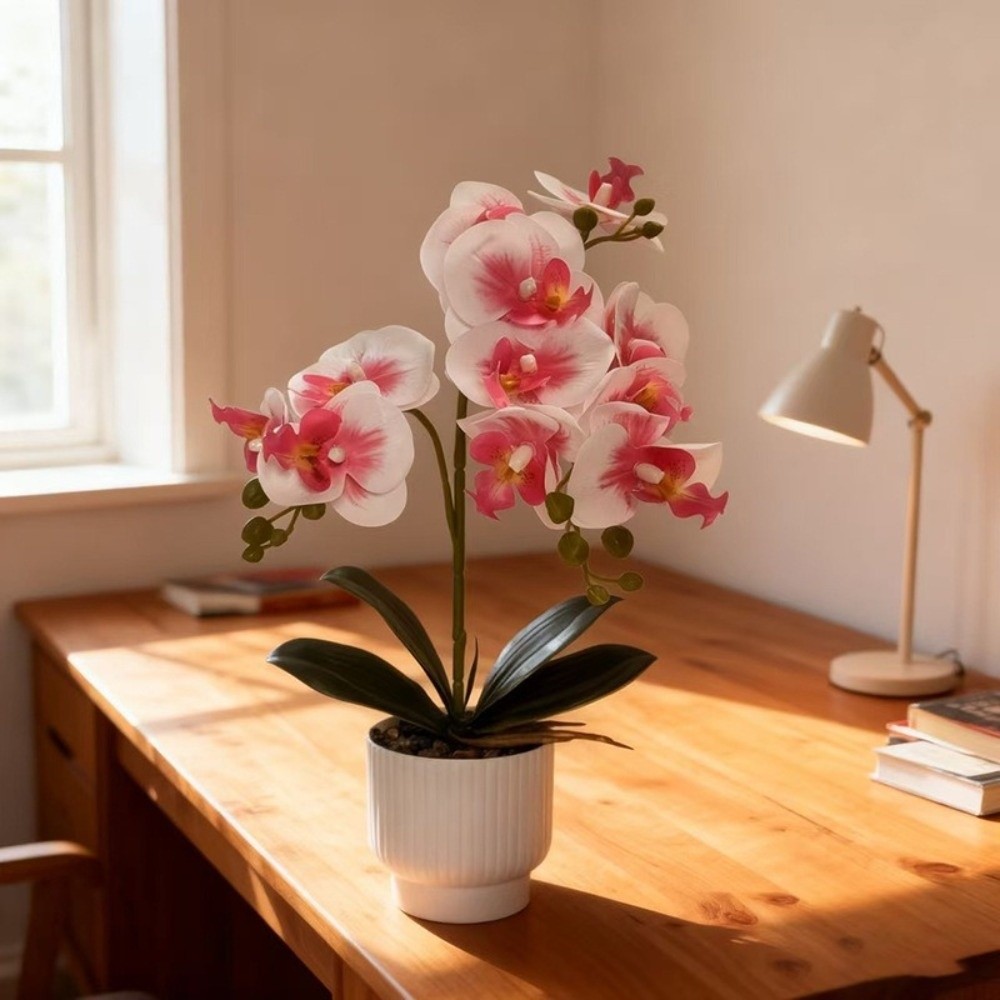 Multi-Bloom Künstliche Schmett – Orchid Phalaenopsis Bewertung und Preis