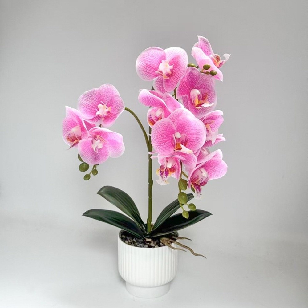 Multi-Bloom Künstliche Schmett – Orchid Phalaenopsis Bewertung und Preis