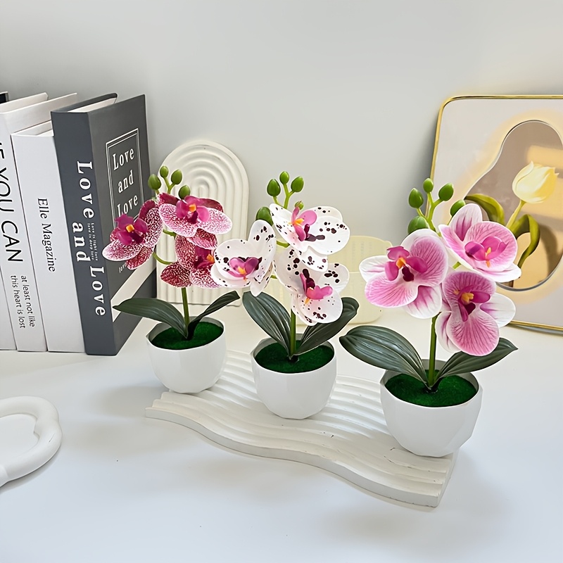 3 Stück Künstliche Phalaenopsi – Orchid Phalaenopsis Bewertung und Preis
