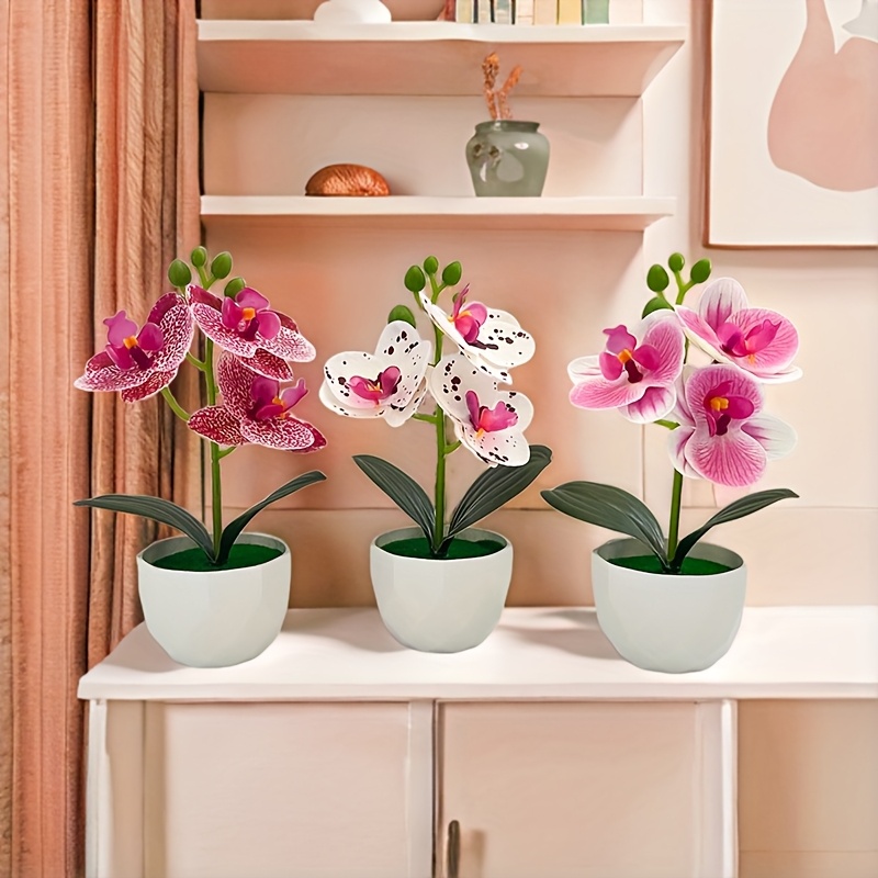 3 Stück Künstliche Phalaenopsi – Orchid Phalaenopsis Bewertung und Preis