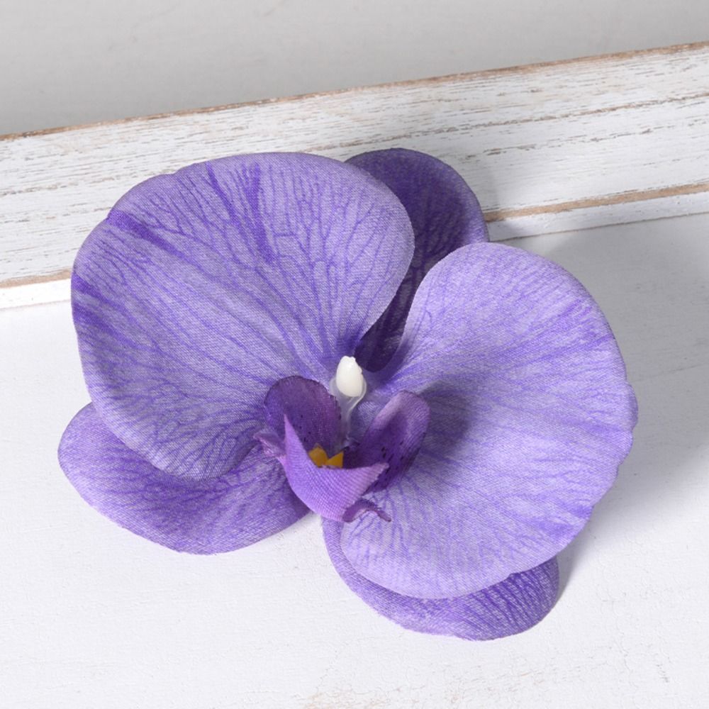 DIY Phalaenopsis Blütenkopf Ha – Orchid Phalaenopsis Bewertung und Preis