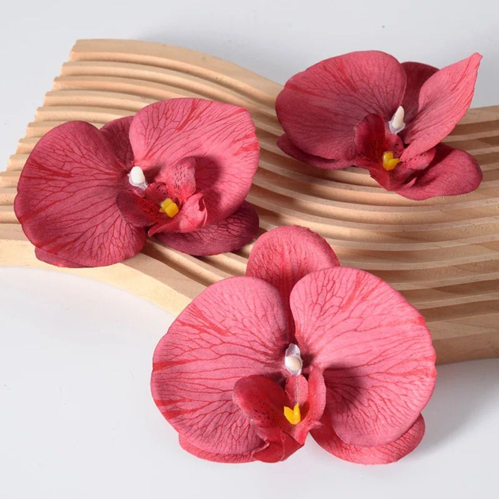 DIY Phalaenopsis Blütenkopf 11 – Orchid Phalaenopsis Bewertung und Preis