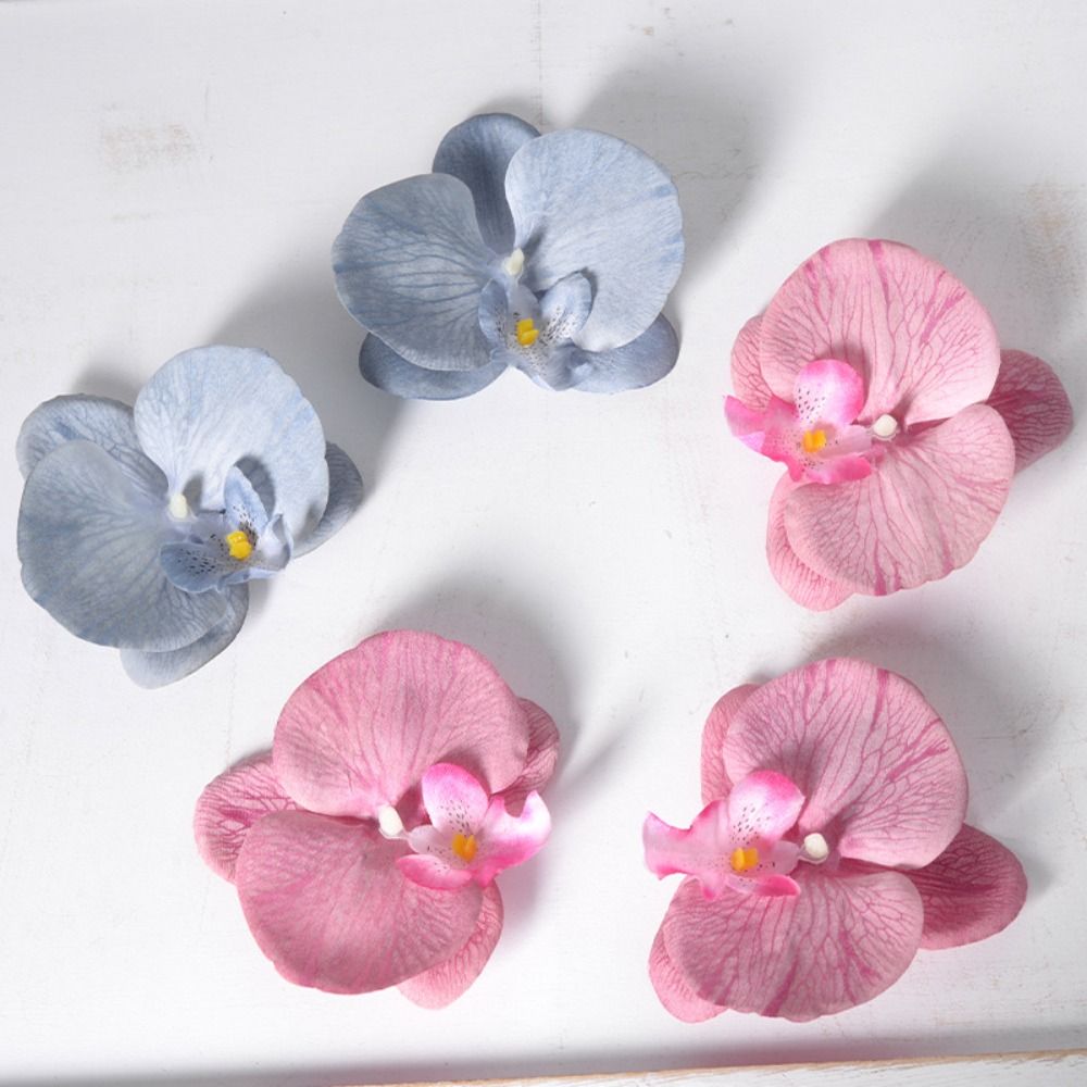 DIY Phalaenopsis Blütenkopf 11 – Orchid Phalaenopsis Bewertung und Preis