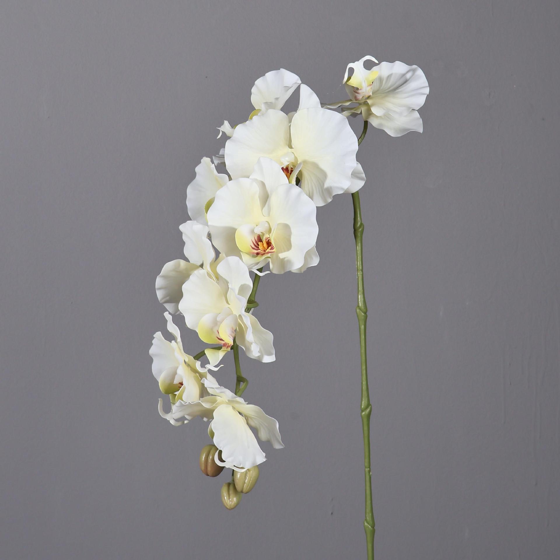 38,6 Zoll 9 Köpfe koreanischen – Orchid Phalaenopsis Bewertung und Preis